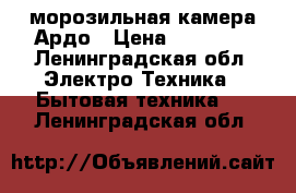 морозильная камера Ардо › Цена ­ 10 000 - Ленинградская обл. Электро-Техника » Бытовая техника   . Ленинградская обл.